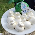 Caracciolo: “La burrata di Andria IGP rafforza la sua presenza in Europa”