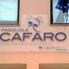 Concorso "I racconti di Bibi ", secondo posto per l'istituto "Verdi-Cafaro "