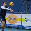La Florigel Pallavolo Andria ai nastri di partenza per la nuova stagione