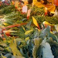 Temperature fuori stagione: al mercato melanzane, pomodori, peperoni e zucchine che continuano a maturare