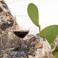 Anche il vino pugliese nella campagna di promozione del  "Made in Italy " nelle ambasciate nel mondo