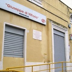 Nuova legge sul lavoro autonomo: diritti e limiti per professionisti e partite iva