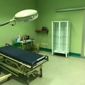 Sanità e liste d'attesa, Marmo (FI):  "Ministero stanzia 500 mln all'anno per progetti ma la giunta latita "