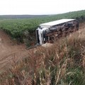 Camion Iveco Eurocargo finisce dentro un burrone e l'autista fugge
