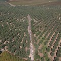 Andria, la trasformazione della città in destinazione di viaggio