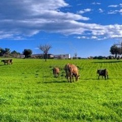 «Legalità ambientale e sicurezza nelle campagne»: il futuro del nostro territorio