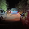 Recuperati 5 quintali di olive dalle Guardie Campestri di Andria, fermati anche alcuni extracomunitari
