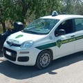 Le Guardie Campestri sventano furto ai danni di un oleificio
