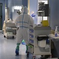 Pandemia da covid 19: la Puglia registra 917 casi positivi, 35 nella provincia Bat