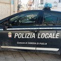 Assunzione a Canosa di Puglia del Dirigente Comandante della Polizia Locale