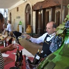 "Cantine aperte in Vendemmia ", ecco la festa del vino