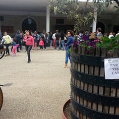 La festa del vino: Cantine Aperte si regala il  "sereno "