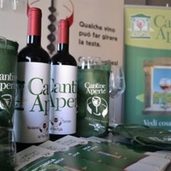 Cantine Aperte 2014: domenica prossima tour tra i vini di Puglia