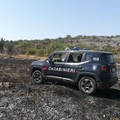 Incendi boschivi Parco dell'Alta Murgia, il 50% in meno nonostante il caldo torrido