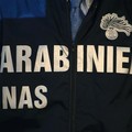 Olio evo contraffatto, sequestri dei Carabinieri del NAS