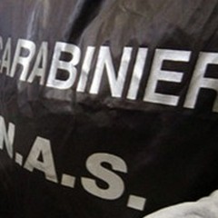 Contraffazione e sicurezza alimentare, scattano i controlli in provincia