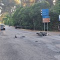 Incidente sulla SP 234 vicino a Castel del Monte: arresto per tentato omicidio