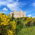 Castel del Monte scenografia per la milonga al tramonto: ad Andria i ballerini dell'International Trani Tango