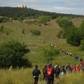 Escursione serale nella foresta Mercadante con l’Ass.Puglia Federiciana
