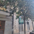 Corso Cavour: scarsa luminosità dai pali della pubblica illuminazione a causa delle magnolie presenti