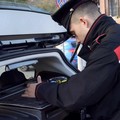 Tornano i predoni dell'oro verde: assalto ad un camion vicino Castel del Monte
