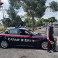 Effettua quattro sorpassi, anche ad un Tir con rimorchio: Carabinieri Andria revocano patente ad autotrasportatore