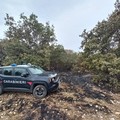 Spento nella notte l'incendio nei pressi di Castel del Monte
