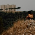 Al Festival “Fuori dai Mondi!” il 5 e il 6 settembre a Castel del Monte ed a Ruvo, lo spettacolo degli allievi