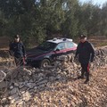 Racket nelle campagne pugliesi. Nino Marmo: "Agricoltura abbandonata a se stessa. Si intervenga subito "