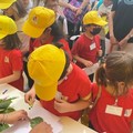 Festa della mamma: più educazione alimentare a scuola per consumo consapevole di figli e genitori a tavola