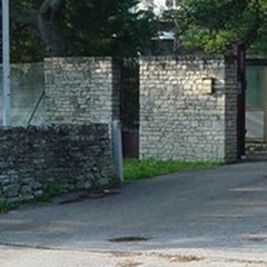 Uva Italia e foglie di vite, soluzioni all'avanguardia dal CRB