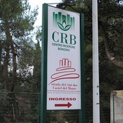 Fondazione "Bonomo ": si cercano Esperti in comunicazione