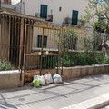 Centro Storico di Andria, nPSI: «Vanto o spina nel fianco per i cittadini?»
