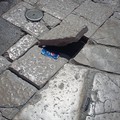 Centro storico, manutenzione e rigenerazione cercasi