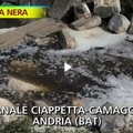 Il Ciappetta camaggio finisce a  "Striscia "