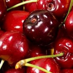 Maltempo sulla Puglia, danneggiata parte della produzione di ciliegie