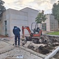 Cimitero di Andria sempre più green anche con le nuove alberature