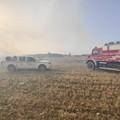 Oltre 800 ettari in fumo sulla Murgia minervinese: indagano i Carabinieri forestali di Altamura e di Andria