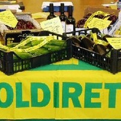 Pensioni, Coldiretti denuncia il gap tra città e campagne