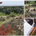 Auto rubate ad Andria, ritrovate le carcasse cannibalizzate