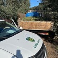 Predoni nuovamente nelle campagne di Andria: la Campestre recupera furgone con oltre 15 q.li di olive