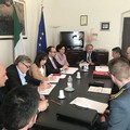 Furti nelle campagne, Confagricoltura Bari Bat: "Più controlli per salvaguardare campagna olearia "