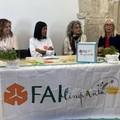 Giornate FAI d'autunno: le aperture nel nord barese - LE INTERVISTE