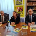  "Dalla Multiservizi andriese incarichi esterni con affidamenti diretti per € 525.000,00 "