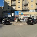 Giornata contro l’abuso e il traffico illecito di sostanze stupefacenti: l’impegno nella Bat dei Carabinieri