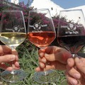 Vinitaly: nel 2025 il valore del vino pugliese ha raggiunto 242 milioni di euro