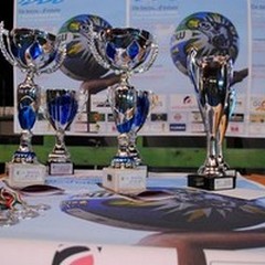 Majira 2015 si presenta: novità per "pro " e sociale