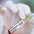 Covid, nella Bat 204 i minori positivi. Ad Andria 25 in isolamento fiduciario