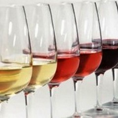Calice di San Lorenzo, degustazioni enogastronomiche a Trani