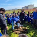 Avviato un laboratorio di piantumazione di alberi e di ortaggi al plesso di  "Giovanni Paolo II " del 3°C.D. “Cotugno”